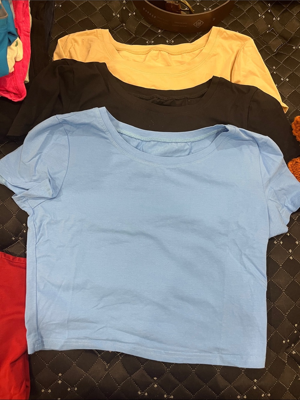 Women's Short Sleeve Scoop Neck Tee - Blue, Black, Cream
